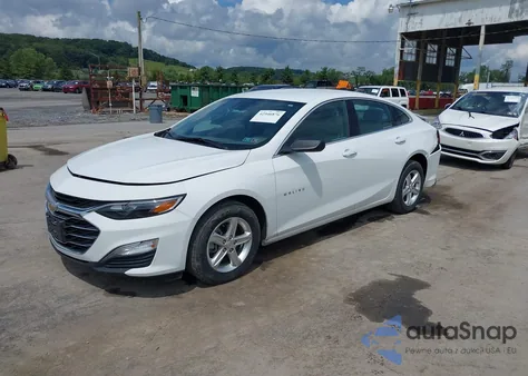 2025 Chevrolet Malibu Fwd 1Fl из США, поврежденный, VIN 1G1ZC5ST2SF138831